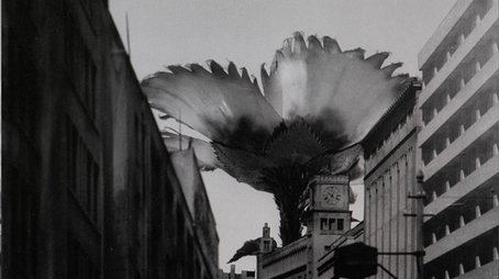 Mammoth Flower (1966) - Episode 4 poster and promotional image