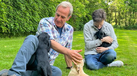 Robson Green's Weekend Escapes Сезон 2