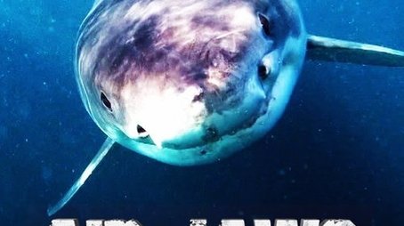 2018 (2018) - Season 31 poster and promotional image