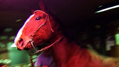 A Horse Walks Into a Bar (2013) - Episode 9 poster and promotional image