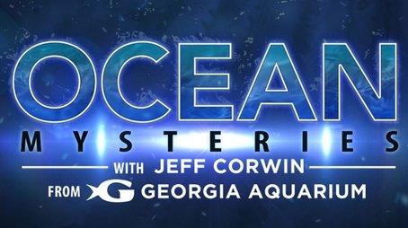 Ocean Mysteries with Jeff Corwin (2011) poster