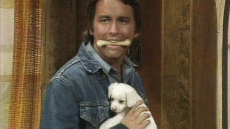 No Children, No Dogs (1977) - Episode 4 poster and promotional image
