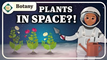 The Future of Botany (2023) - Episode 15 poster and promotional image