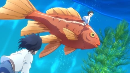 Pet15