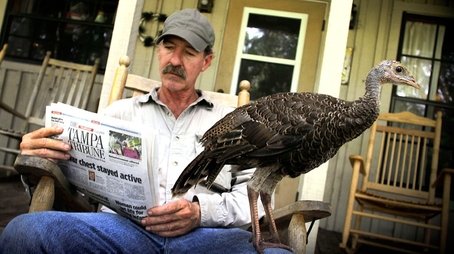 My Life as a Turkey (2011) - Episode 1 poster and promotional image