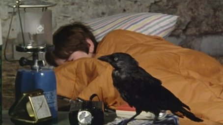 Five on Finniston Farm (1978) - Episode 13 poster and promotional image