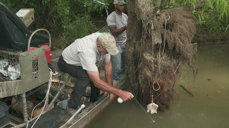 Swamp People Сезон 15