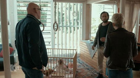 The perfect family (2020) - Episode 27 poster and promotional image