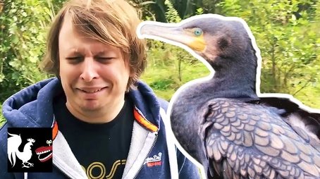 KERRY VS BIRDS (2017) - Episode 61 poster and promotional image
