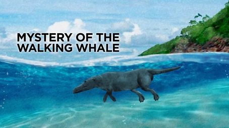 The Mystery of the Walking Whale (2024) - Episode 2 poster and promotional image