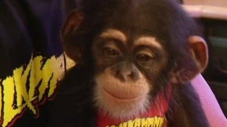 Monkey Business (2006) - Episode 10 poster and promotional image