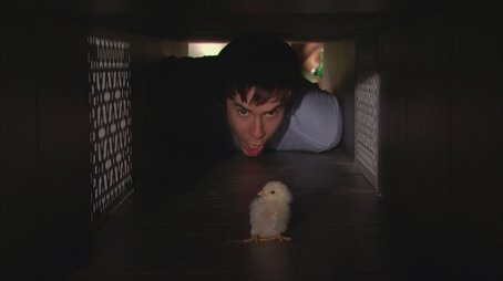 iHatch Chicks (2008) - Episode 16 poster and promotional image