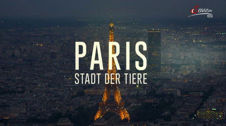 Episode 227 (2016) - Episode 227 poster and promotional image