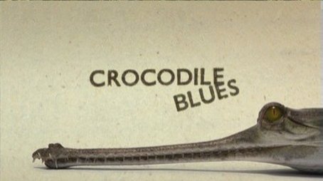 Crocodile Blues (2008) - Episode 4 poster and promotional image