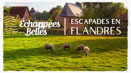 Episode 13 (2016) - Episode 13 poster and promotional image