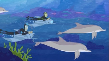 Speaking Dolphinese (2013) - Episode 8 poster and promotional image