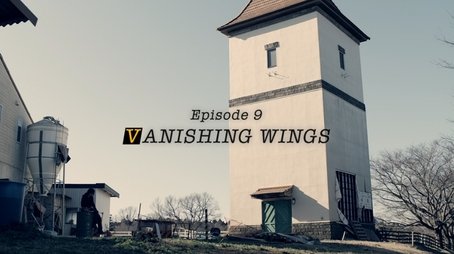 VANISHING WINGS (2017) - Episode 9 poster and promotional image
