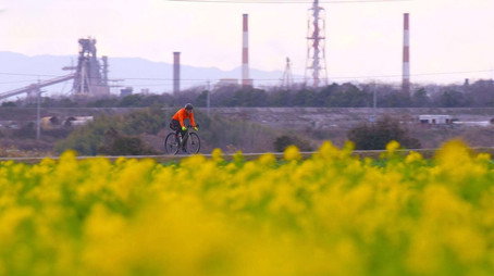 Cycle Around Japan Сезон 13