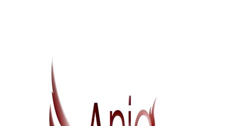Anjo Meu (2011) poster