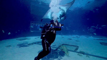 The Aquarium Stagione 2