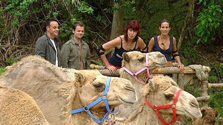 I'm a Celebrity...Get Me Out of Here! Сезон 4