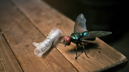 Trolltider – legenden om Bergatrollet Évad 1