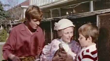 Pigeon Pair (1970) - Episode 12 poster and promotional image
