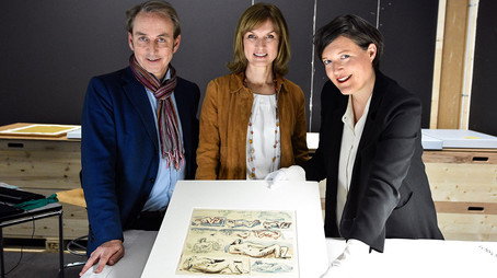 Fake or Fortune? Évad 7