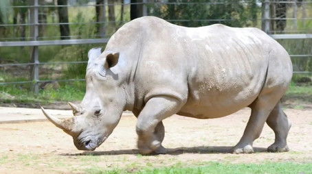 Daphne's Dentist (2022) - Episode 3 poster and promotional image