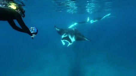 Swimming With Manta Rays (2019) - Episode 11 poster and promotional image