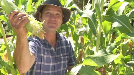 Episode 3 Autumn Planting, Basil, Fresh Food & Grapes (2022) - Episode 3 poster and promotional image