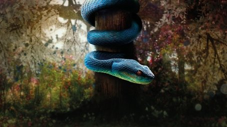 Genesis (2021) poster