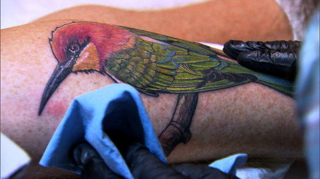 Ink Master Sezona 5