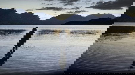 Top of the Lake11