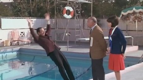 Haie im Swimmingpool