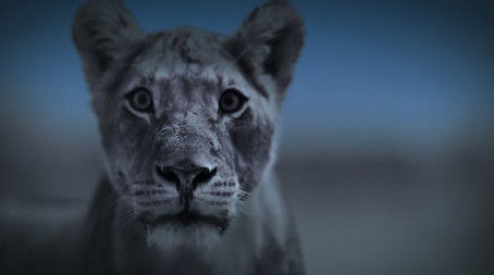 Dusk Till Dawn (2020) - Episode 6 poster and promotional image