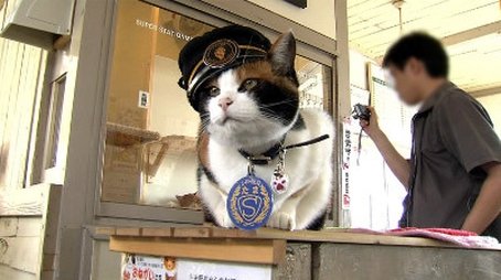 The Cat Stationmaster Who Rescued a Railway (2016) - Episode 7 poster and promotional image