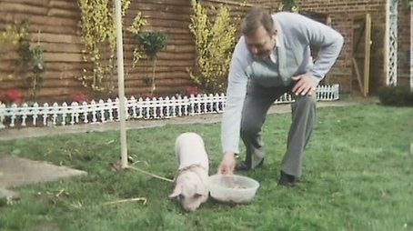 One Little Pig (1983) - Episode 2 poster and promotional image