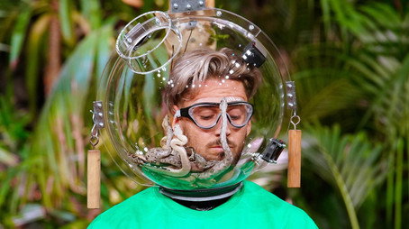 Ich bin ein Star - Die große Dschungelshow Sezóna 1