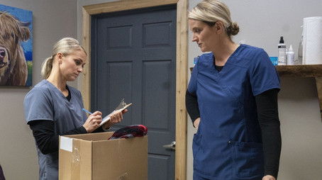 Heartland Shellebration (2021) - Episode 5 poster and promotional image