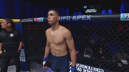 Dana White's Contender Series Сезон 9