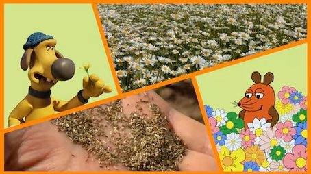 Episode 23 (2025) - Episode 23 poster and promotional image