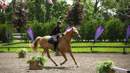 Equestrian (2020) - Episode 3 poster and promotional image