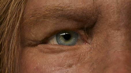 Decoding Neanderthals (2013) - Episode 7 poster and promotional image