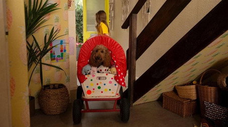 Waffle the Wonder Dog Сезон 4