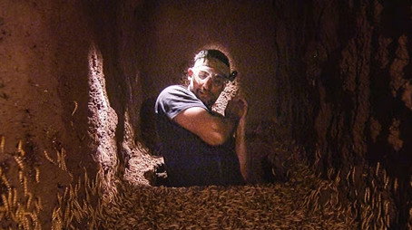 I'm a Celebrity...Get Me Out of Here! Сезон 17