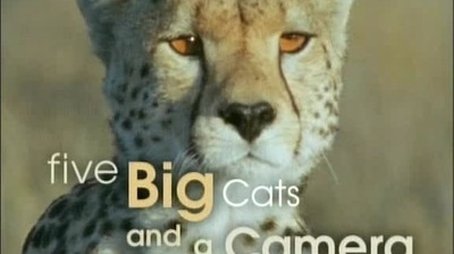 Five Big Cats and a Camera (2004) - Episode 14 poster and promotional image