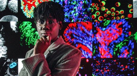 The Truth About... Sezóna 1