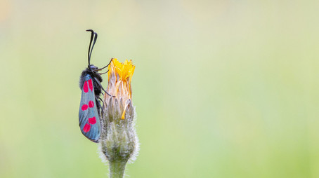 Episode 6 (2023) - Episode 6 poster and promotional image