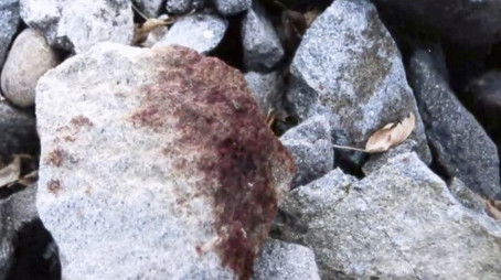 On the Rocks (2020) - Episode 2 poster and promotional image